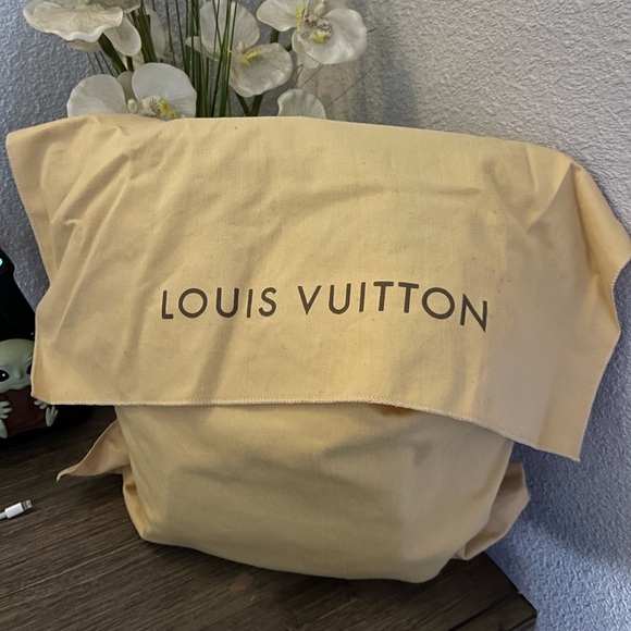Louis Vuitton Montsouris Backpack NM - Picture 4 of 4